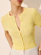 Buttoned Hollow Knit Sweater Top